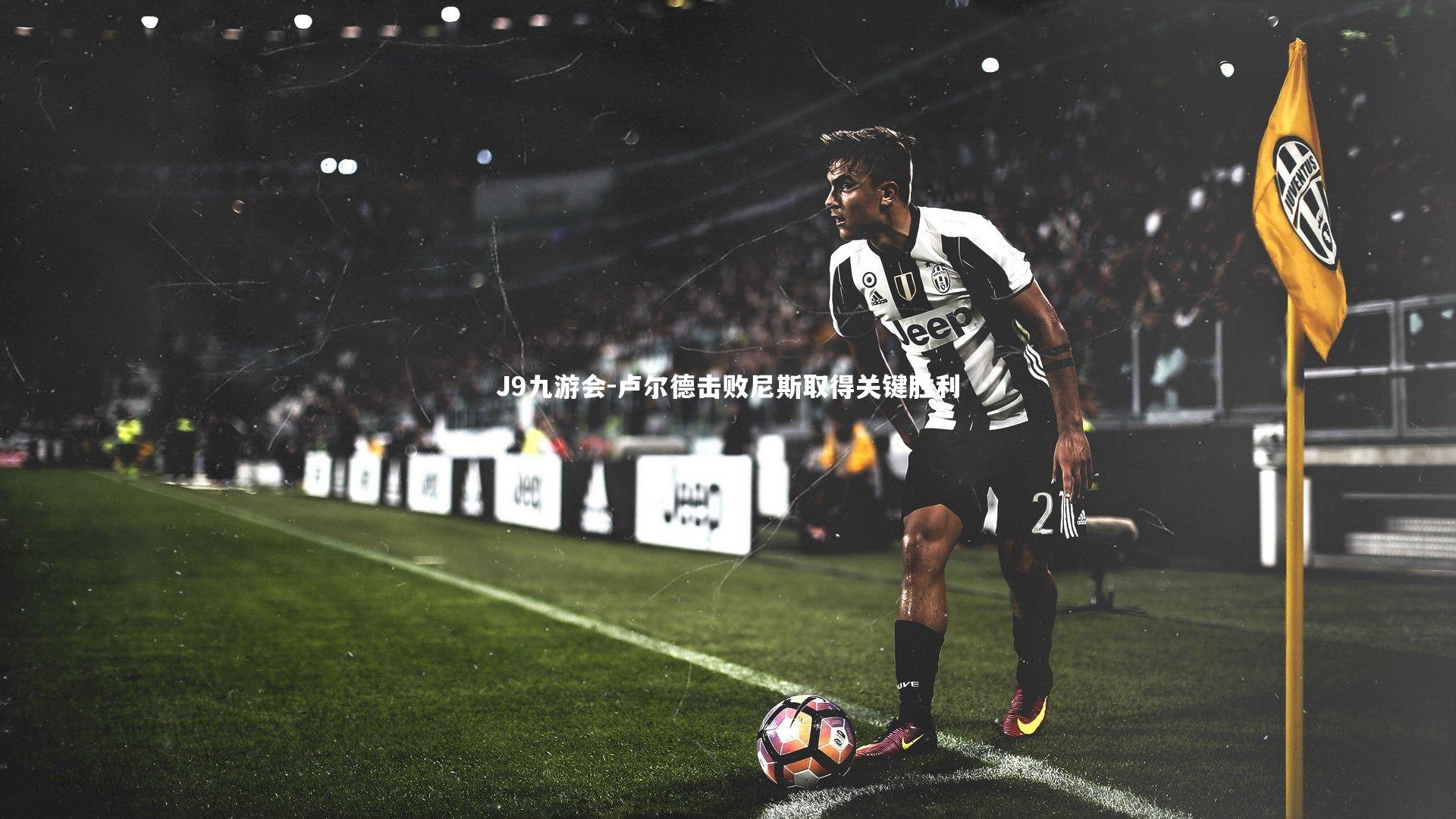 J9九游会-卢尔德击败尼斯取得关键胜利
